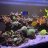 EmperorsReef