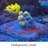 underground_corals