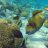 reeffirstaid