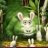 Bushpig_2