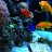 Reefnewb