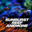 SunburstReefAnemone