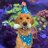 ReefWithMe