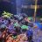 WiseReef