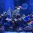 Logan’s Reef