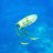 DEdiver