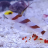 CyberReef