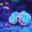Rosco's_Reef