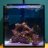 Peartree_reef