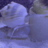portia-the-snail