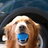 plumbdogmillionaire