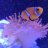 Giosreef15