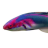 Mid_Reefkeeper
