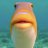 JohnTheFisherman