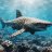 RavenShark45