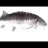 just_a_fish