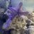 WhereIsNemo?