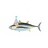 16fishes