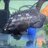 ReefDreamer14