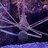 FishballsAquatics
