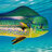 Mahi51212
