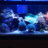 Circlecityreef