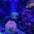 ReeferBill