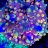 Reefjunkie3