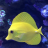 Reef_Obsessed
