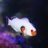 Kevin_ReefScapes