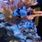 OneFish
