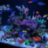 direfishking27