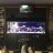 Shadi Shini|Active Reef