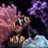 reefsurf