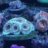 deep sea