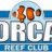 orcapresident