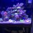 Ricksreef1