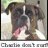 Boxermom