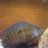 Saltybumfuzzle