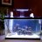 ReefNerd76