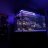 CJs Aquariums