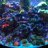 azreeftank
