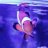 FishDude25