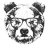 Bear Necessities