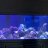 Underwater Passion