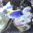Solis Reef