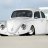 voksbug
