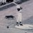 CubsFan