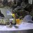 Snake132
