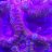 Reef_monster